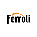 Газовые котлы Ferroli